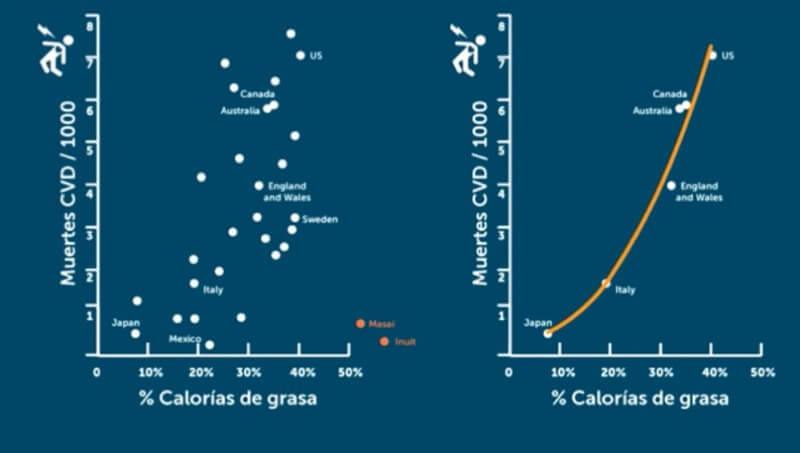graficos calorias